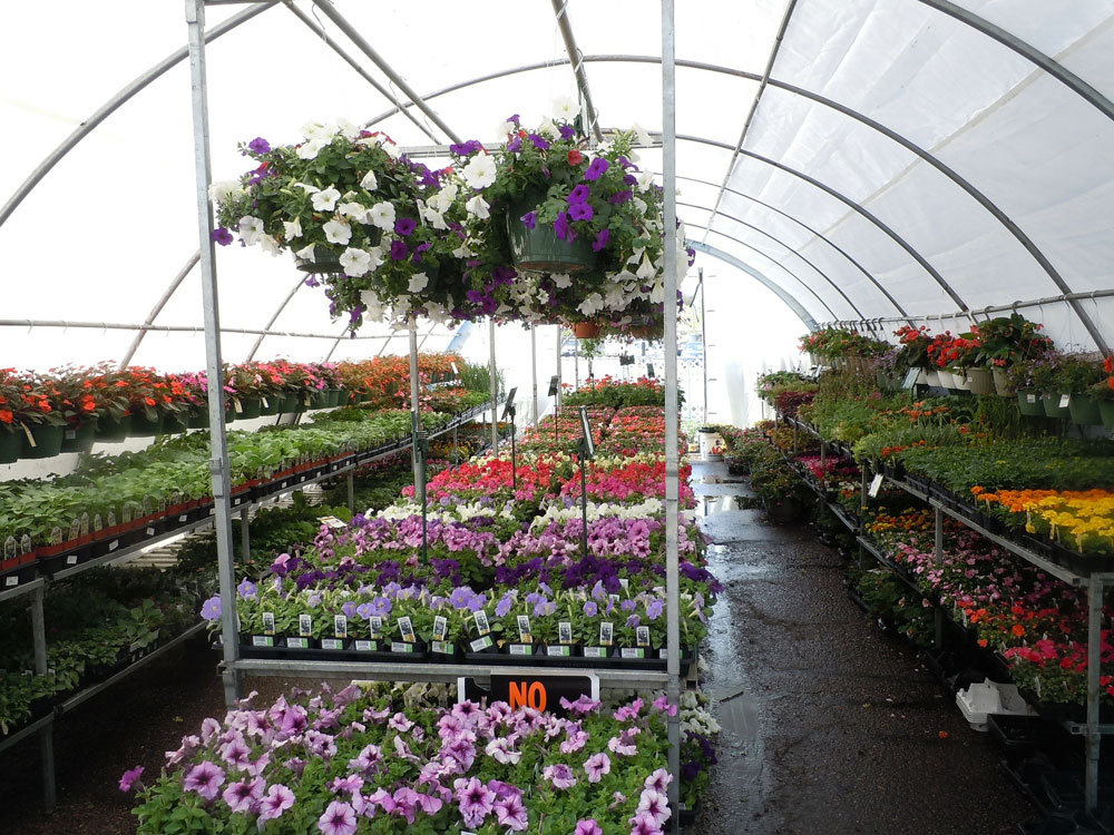 Gartenarbeiten Soziale Unternehmen Berlin