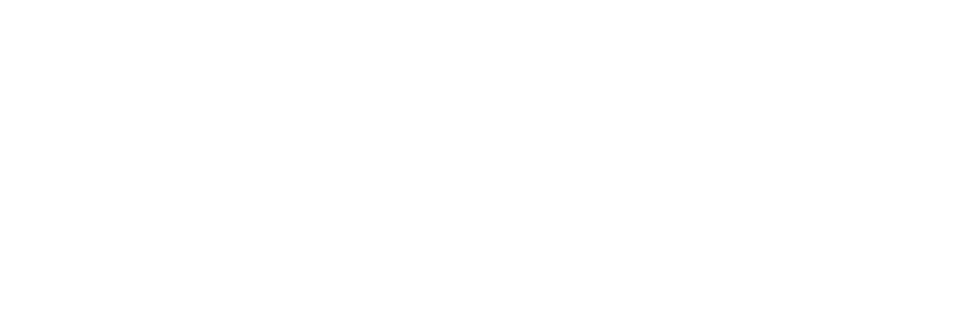 SPEKTRUM NetzWerk